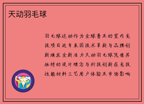 天动羽毛球