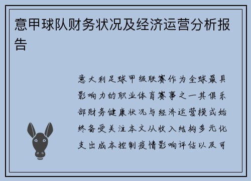 意甲球队财务状况及经济运营分析报告