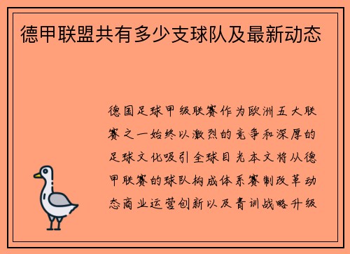 德甲联盟共有多少支球队及最新动态